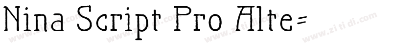 Nina Script Pro Alte字体转换
